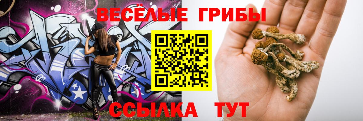 сколько стоит  Вход с VPN  Кемерово  Галлюциногенные грибы мухоморы 